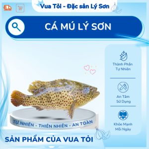 Cá Mú Câu Nguyên Con ( kg )