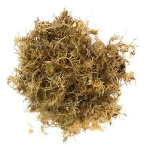 Rong biển xua xoa 150g – Thanh mát, giải nhiệt, đặc sản miền Trung